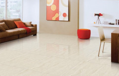 Ceramic Vitrified Wall Floor Tile, 2x2 Feet(60x60 cm), Gloss