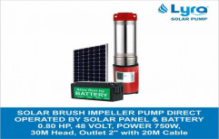 Lyra Solar 48 V Brush Impeller Pump