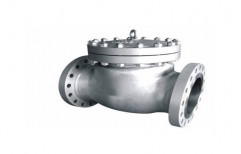 Manual Stainless Steel Check Valve, Media: Fuel, Water