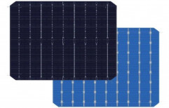 Multicrystalline Silicon Solar Cell, Thickness: .7mm, 4.5wp To 7.53wp