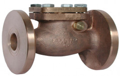 R.S. Enterprise Stainless Steel Non Return Valve