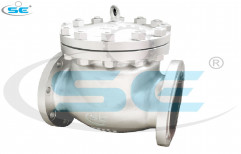SE Swing Check Valve, Packaging Type: Box, Size: 50mm To 300mm