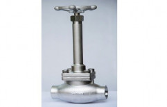 Stainless Steel Long Stem Cryogenic Valves, For Liquid gas