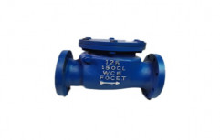Swing Type Check Valve, Flanged End,Butt Weld End