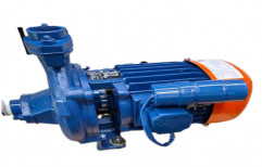 Blue Kirloskar Agriculture Pump Motor, 220V