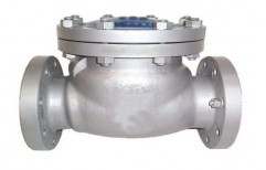Bolted Cover Swing Check Valve, Size: 25 Mm To 600 Mm