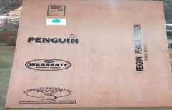 PENGUIN Brown Plywood, Grade: Bwr, Thickness: 19mm