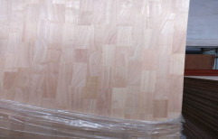 Rubber Wood Plywood Board, Thickness: 12 mm And 17 mm