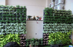 Vertical Indoor Garden