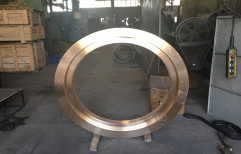 Worm Wheels