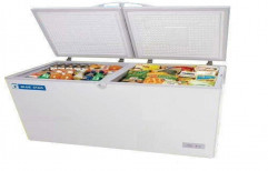 Bluestar Double Door Deep Freezer