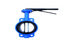 Butterfly Valve Fitting Services