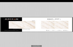 Polish Glazed Vitrified Tiles Pgvt, 2x2 Feet(60x60 Cm), Gloss