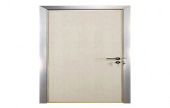Silver Standard Aluminum Flush Door