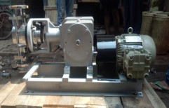 Stainless Steel Plunger Metering Pump, Vertical, Tc