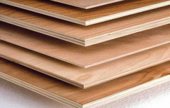 ValleyWood Poplar BWP Plywood, Thickness: 18 Mm, Size: 8' X 4'