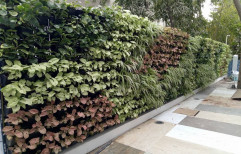 Vertical Garden
