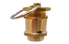 2inch Brass Safety Valve, For Industrial