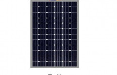 Exide 40 Watt Solar panels