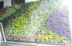 Vertical Garden Living Wall
