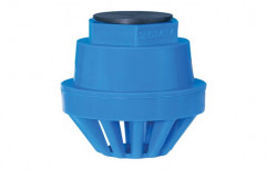 Blue Specialty Foot Valve, Size: 15 mm To 500 mm