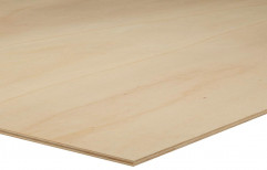 Brown Poplar Plywood Sheet, Thickness: 19 Mm, Size: 8.0' X 4.0'