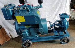 Diesel Engine Pumps