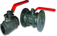 Flanged & Screwed CI Ball Valve