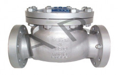 Nova Swing Check Valve, Packaging Type: Box, Size: 50 Mm To 300 Mm