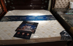 Ortho Bed Mattress