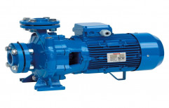 0.5 Hp Electric Crompton Water Pump