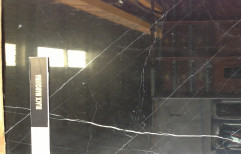 Black Marquina Marble, Thickness: 18 mm, Size: 5 X 5 Feet