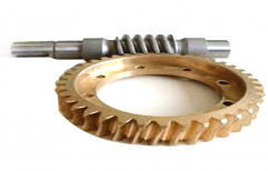 Bronze Round 600 Mm Worm Wheel Gear