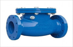 Cast Iron more than 8 inch Check Valve and Non Return Valve