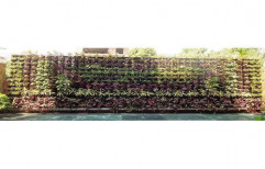 Green Bio Wall