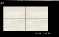 High Gloss Vitrified Floor Tiles 800x800mm