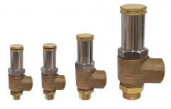 REGO 250 Psig Cryogenic Angle Relief Valves