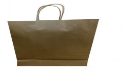 Brown Art Paper Carry Bag