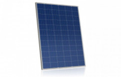 Trina 540 W 24V Polycrystalline Solar Panel