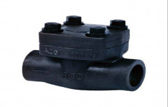 Forged Stainless Steel Non Return Valve