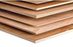 Greenply Poplar Brown Plywood Sheet, Thickness: 18mm, Size: 8x4