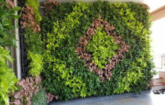 Natural Vertical Garden
