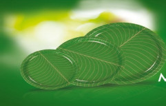 Shagun Films Polyester 4.5 Micron Banana Leaf Design Film, For Lamination in Paper Plates, Packaging Type: Roll