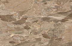 Somany Glossy Ceramic Floor Tile, Size: 200X600 MM, Thickness: 2 mm