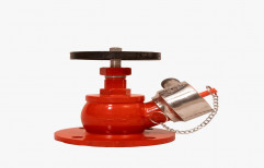 Stainless Steel Manual Single Outlet Landing Valve