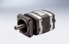 Standard Steel Internal Gear Pump