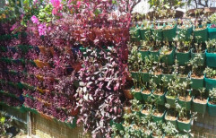 Vertical Gardening