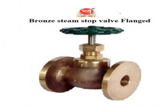 Wj Bronze Steam Stop Valves Flanged