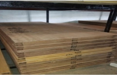 30 Mm Wooden Flush Doors