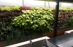 Black Plastic Vertical Garden/ Biowall